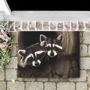 Search for raccoon doormats Nature
