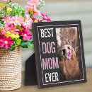 Search for dog photo display From the dog