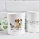 Recherche de leurres tasses Pour tous