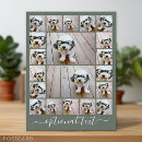 Recherche de beaucoup cartes postales Pour tous