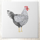 Recherche de poulets carreaux Volaille
