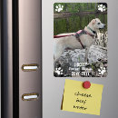 Recherche de pet memorial magnets Dans la mémoire aimante