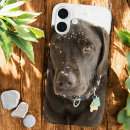 Recherche de labrador chocolat iphone coques Laboratoire de chocolat
