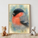 Search for bullfinch posters Nature