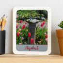 Recherche de de beaux magnets Jardin