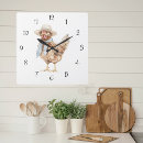 Search for spring chicken Farmhouse