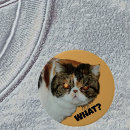 Recherche de chat humoristique badges Félin