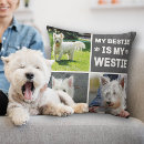 Search for westie pillows Cute