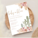 Search for cactus bloom Baby in bloom
