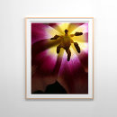 Search for flower of life posters Nature