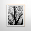 Recherche de brouillard art Brume