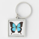 Search for butterfly pics keychains Animals