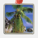 Recherche de seychelles ornements Plage