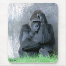 Search for silverback gorilla electronics Monkey