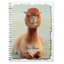 Search for alpaca notebooks Funny