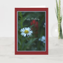 Search for daisy border cards Flowers
