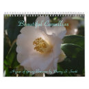Search for camellia Blossom