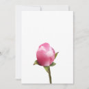 Search for budding cards Floral