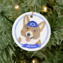 Search for corgi ornaments Ceramic