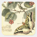 Search for red butterfly stickers Insects
