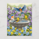Recherche de oiseau de jardin cartes postales Jolie