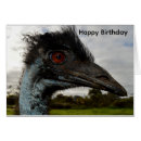Search for emu birthday cards Wildlife