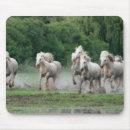 Recherche de camargue tapis souris Ranch