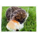 Search for hedgehog gift bags Animal
