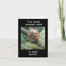 Search for nutty cards Photography
