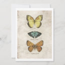 Recherche de dessin papillon invitations Vintage