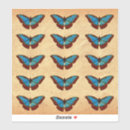 Search for lepidoptera stickers Blue