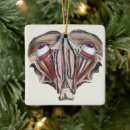 Search for eye doctor ornaments Eyes