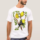 Recherche de chardonneret vêtements Pinson