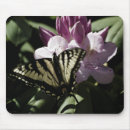 Search for yellow swallowtail butterfly electronics Black