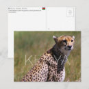 Recherche de guépards cartes postales Faune