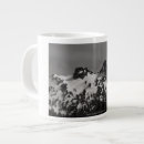 Search for pinnacles mugs Mountain