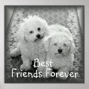 Recherche de friends forever posters Bff