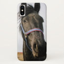 Search for stallion horse iphone cases Farm