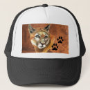 Recherche de cuill casquettes Chat