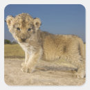 Recherche de leo autocollants Afrique