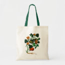 Search for squash accessories Vegetable