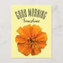 Search for light orange postcards Bright