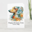 Search for doxies cards Dog lover