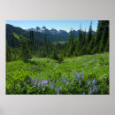 Search for cascade range posters National park