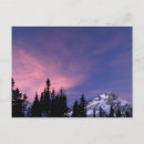 Search for timberline postcards Snow