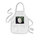 Search for squash aprons Food