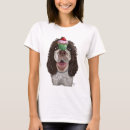 Recherche de springers spaniels Springer spaniel