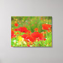 Recherche de pavot impressions sur toile Photographie