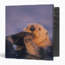 Search for environment binders Cute