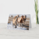 Recherche de pinto vœux cartes Ferme